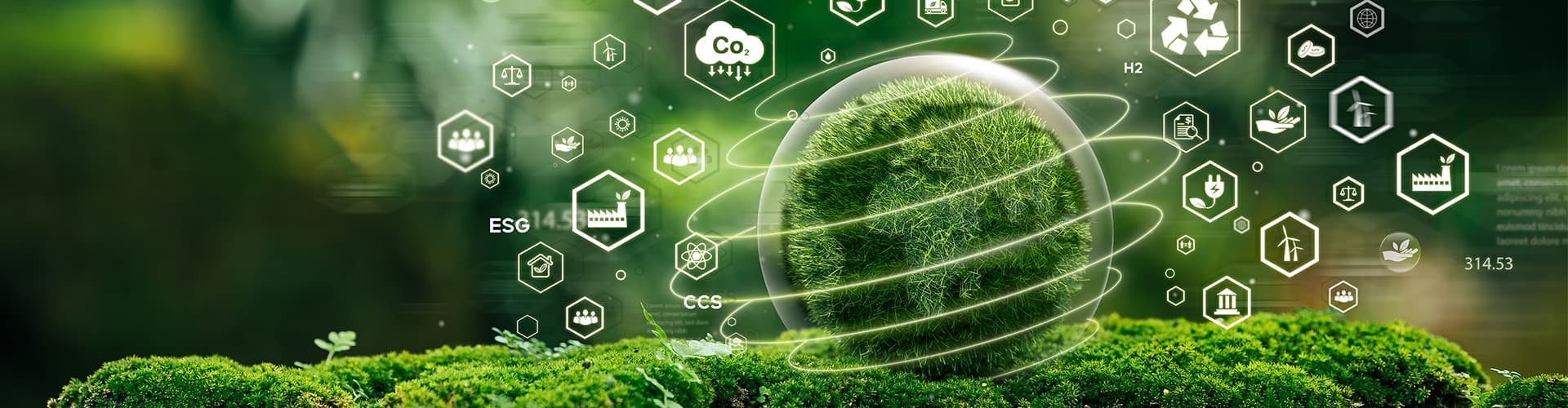 Emissions and Carbon Footprint in Treatment Plants - Teknofanghi