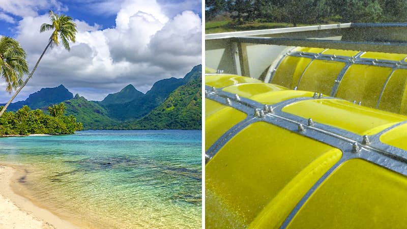 Moorea, French Polynesia: SCRUFILTER® Microfiltration for a High-End Resort