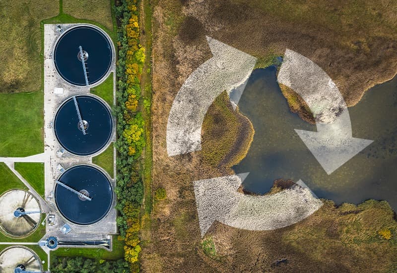 Circular Economy in Sludge Treatment: Beyond Disposal