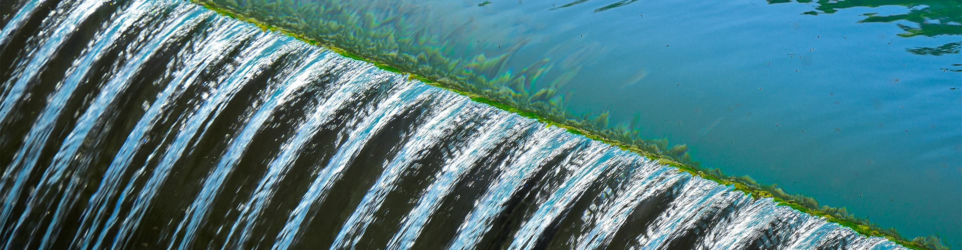 Reducing Energy Consumption in Water Treatment Plants